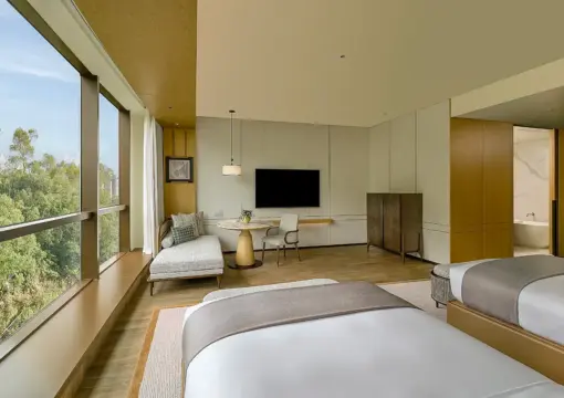 Deluxe Mountain View Twin Room
