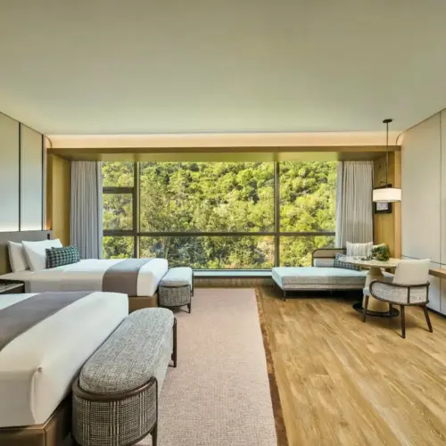 Deluxe Mountain View Twin Room