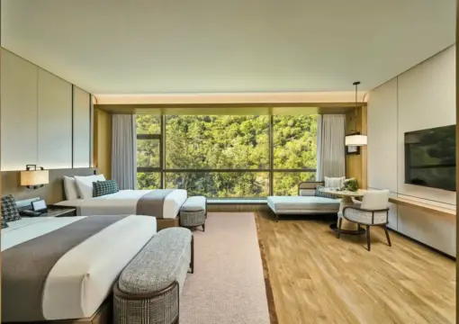 Deluxe Mountain View Twin Room