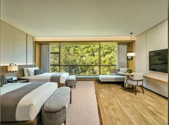 Deluxe Mountain View Twin Room