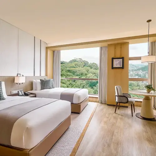Mountain View Twin Room