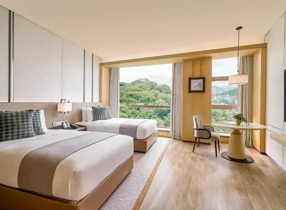 Mountain View Twin Room